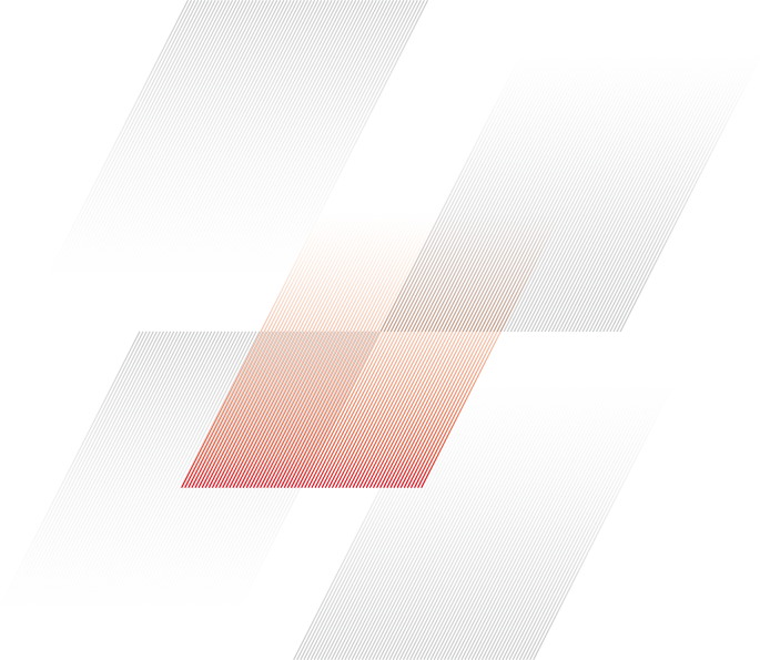 我们的合作伙伴