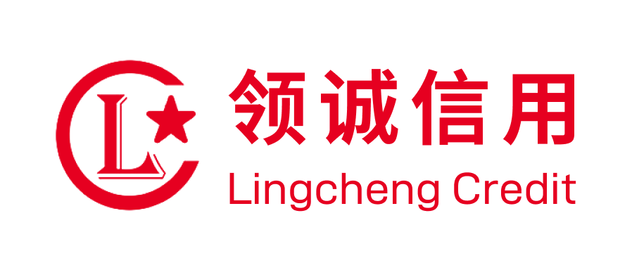 江苏领诚信用管理有限公司
