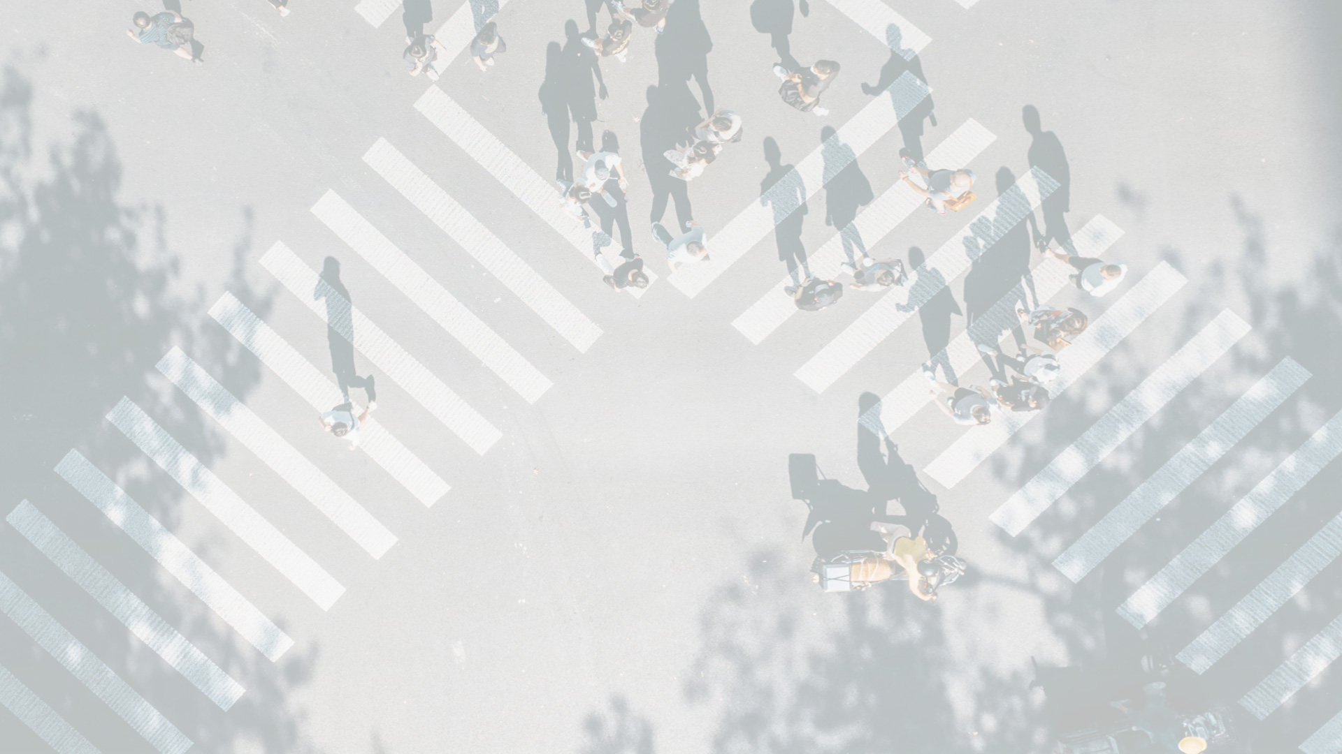 政策项目咨询服务