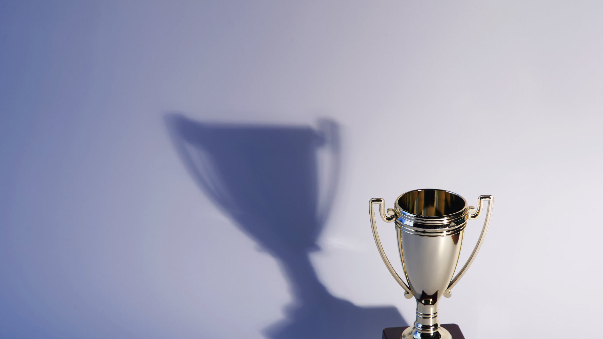 资质认定与荣誉申报服务